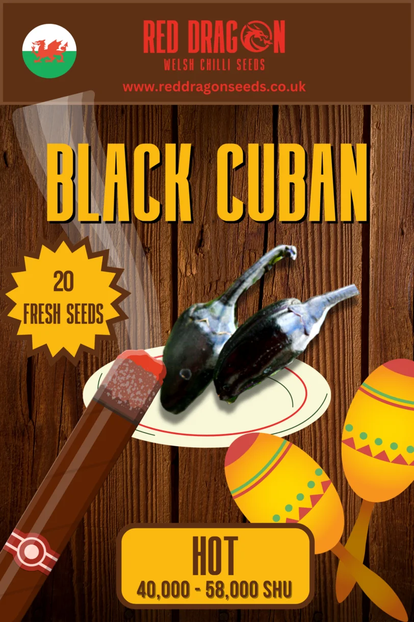 Black Cuban Chilli Seeds