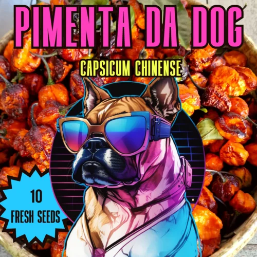 Pimenta da Dog Chilli Seeds