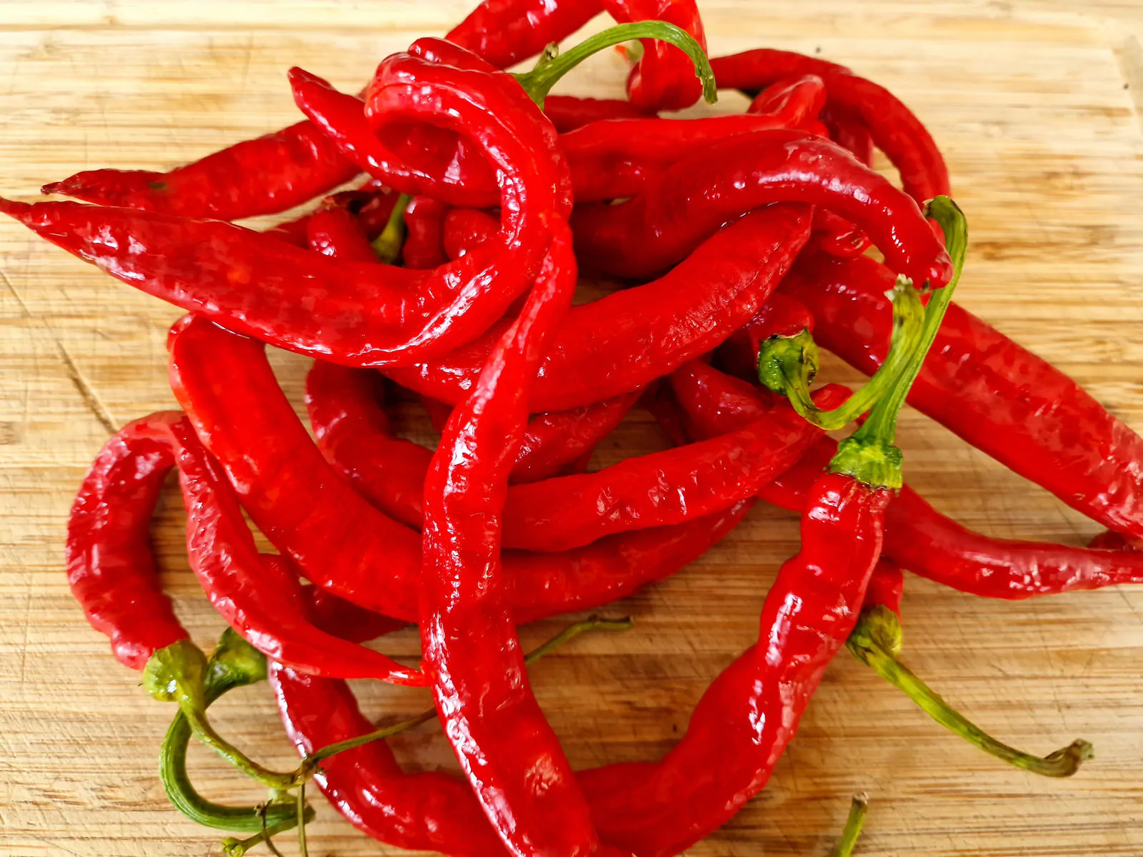 HJ2 Meteor Space Chilli Seeds - Image 8