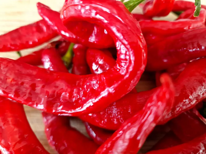 HJ2 Meteor Space Chilli Seeds - Image 9