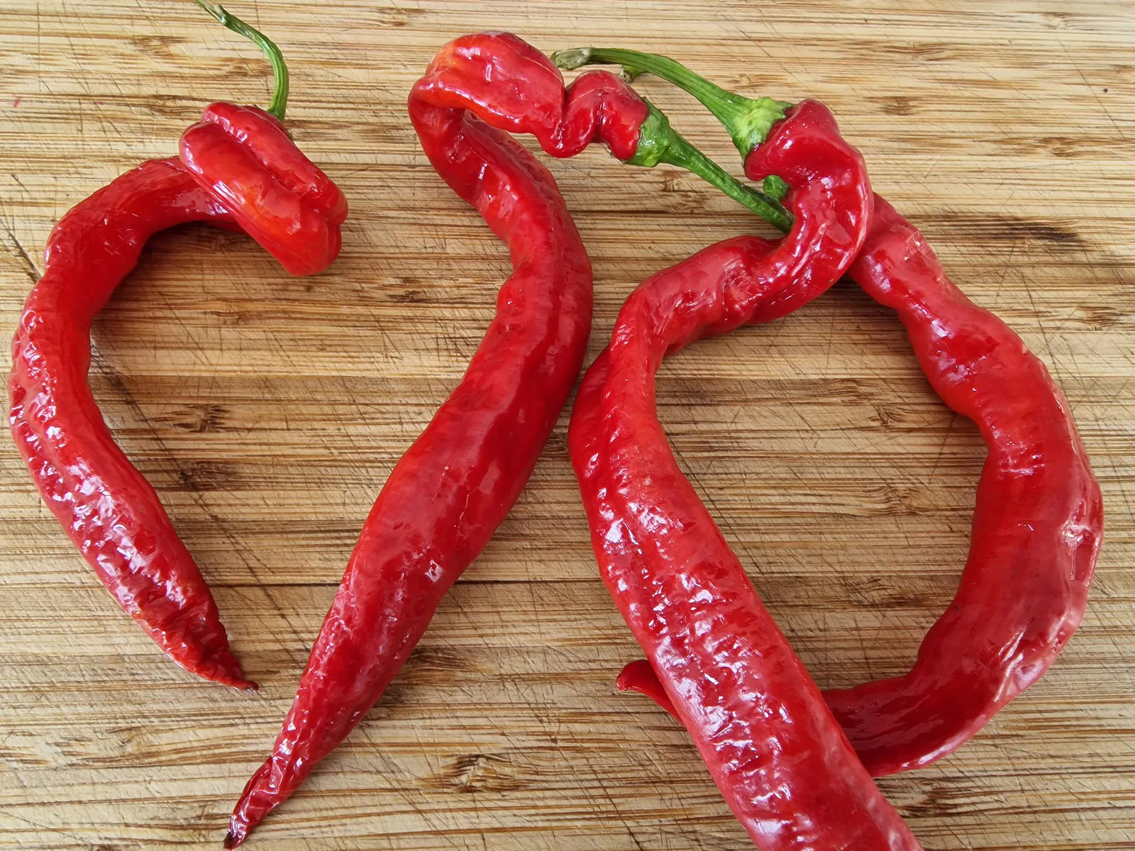 Hangjiao Space Chilli Seeds Full Pack - Image 7