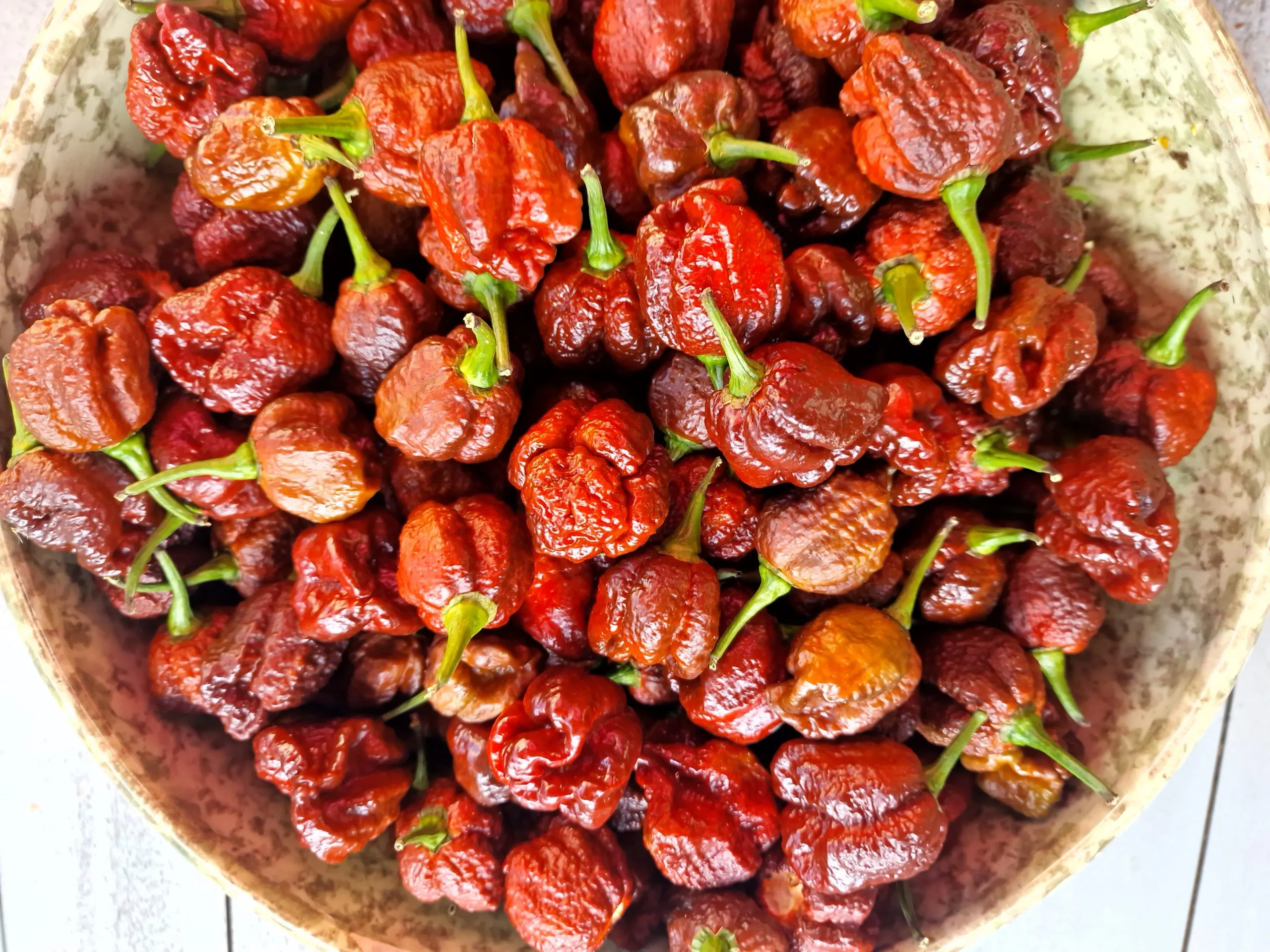 Trinidad Moruga Scorpion Chocolate - Image 10