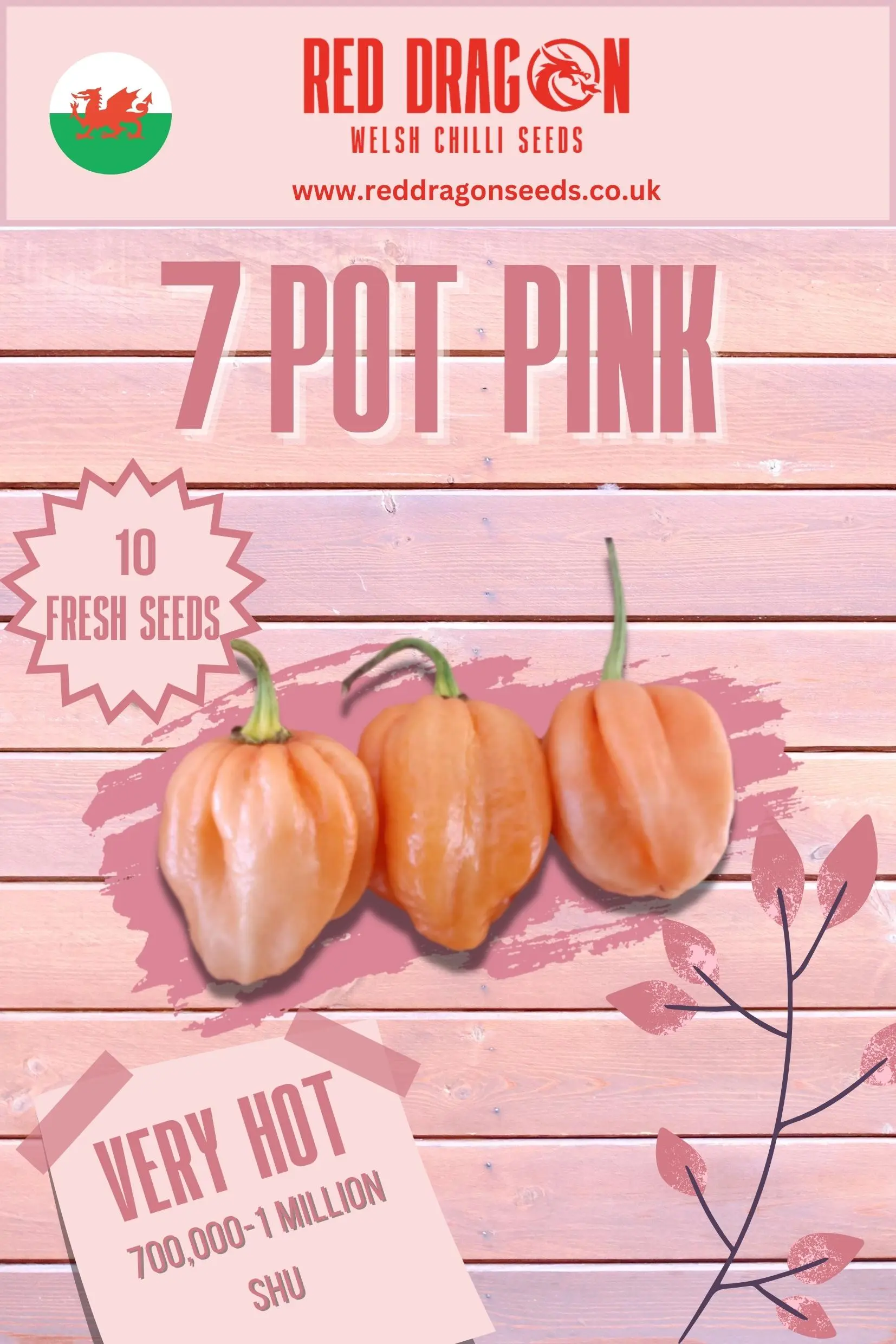 7 Pot Pink Chilli Seeds