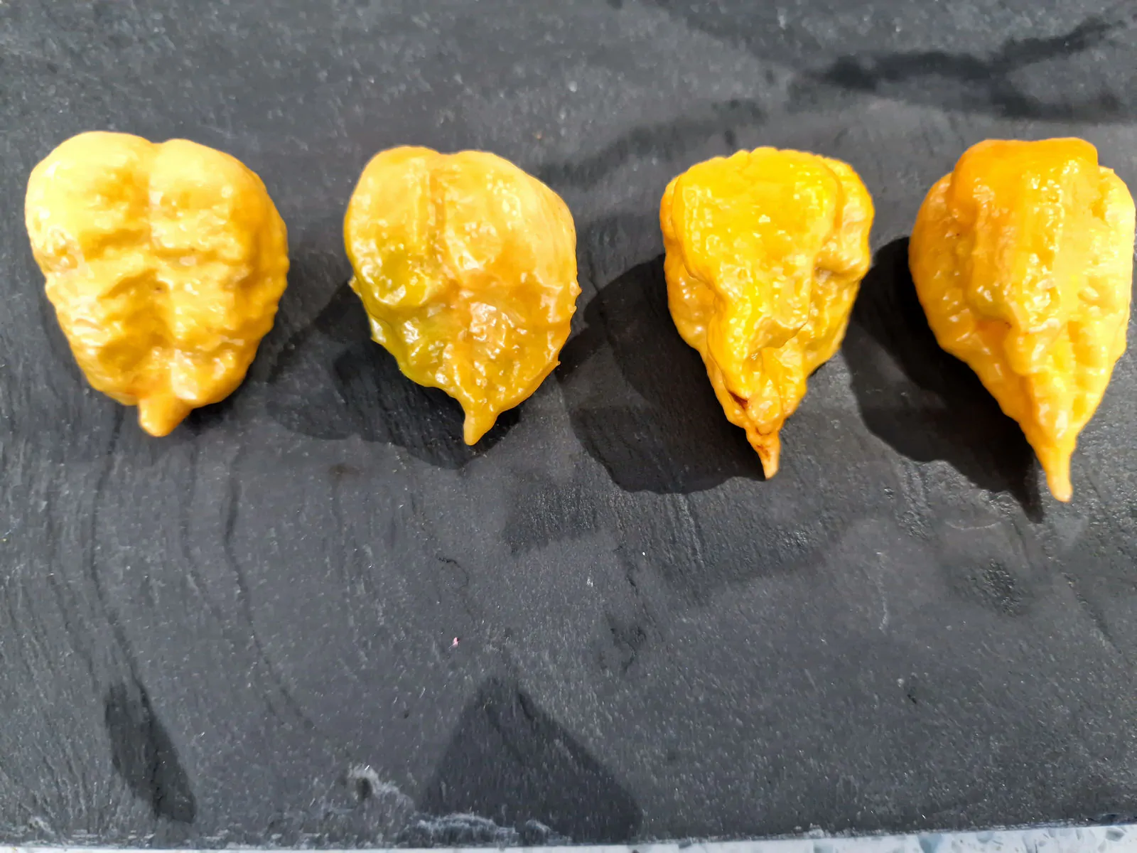Golden Carolina Reaper Chilli Seeds - Image 5