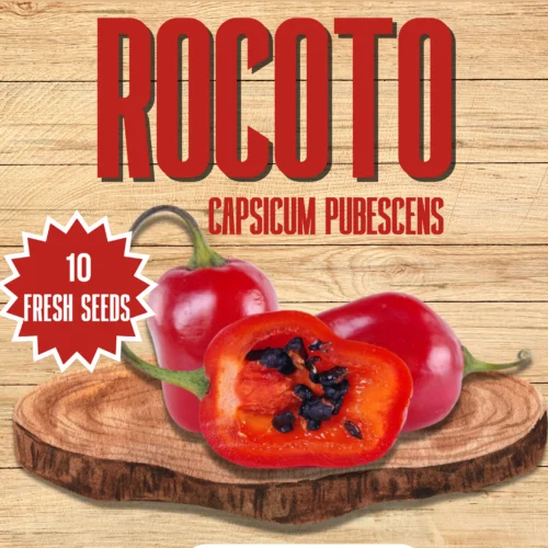 Rocoto Red Chilli Seeds