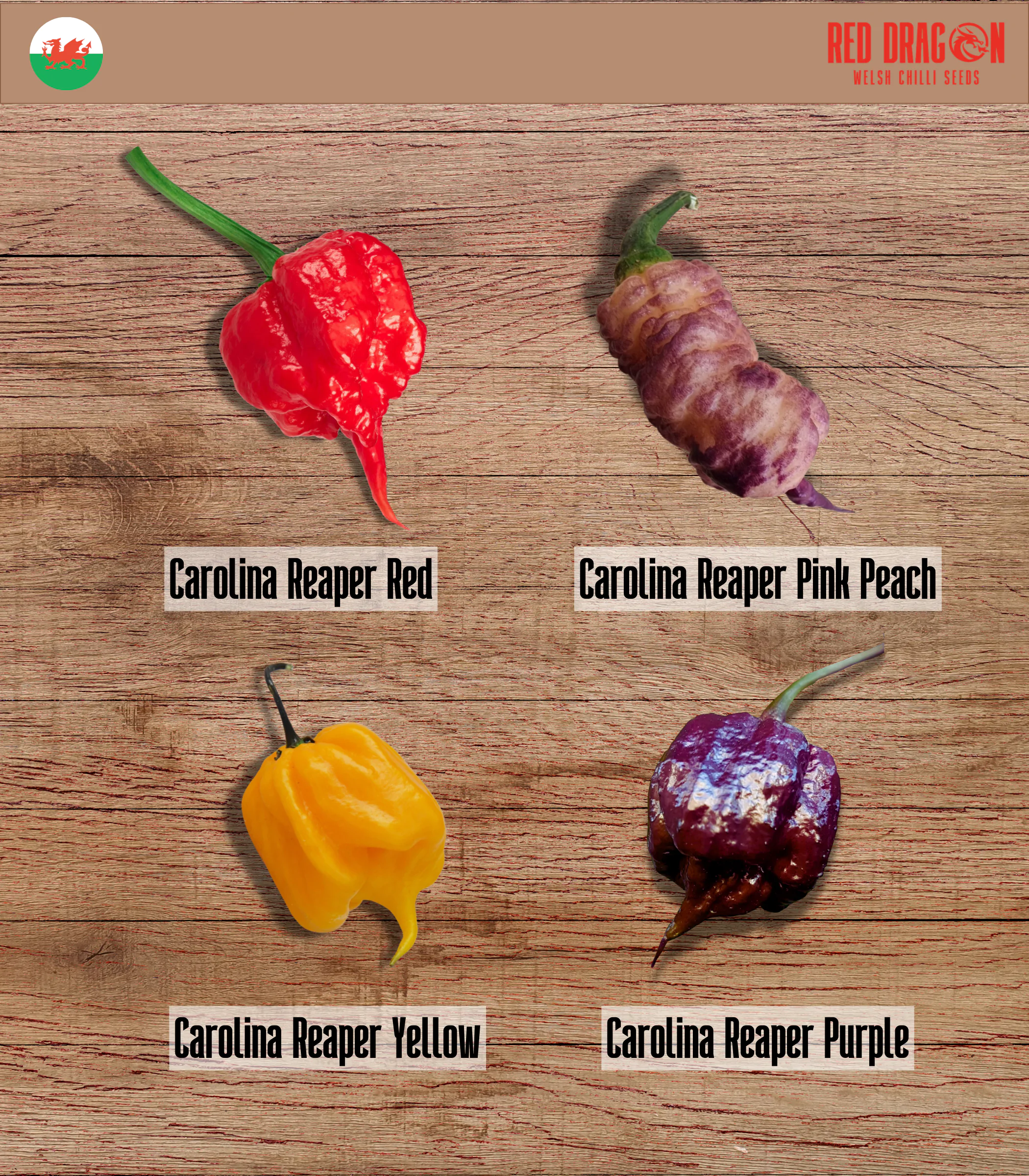 Carolina Reaper Variety Pack - Image 4