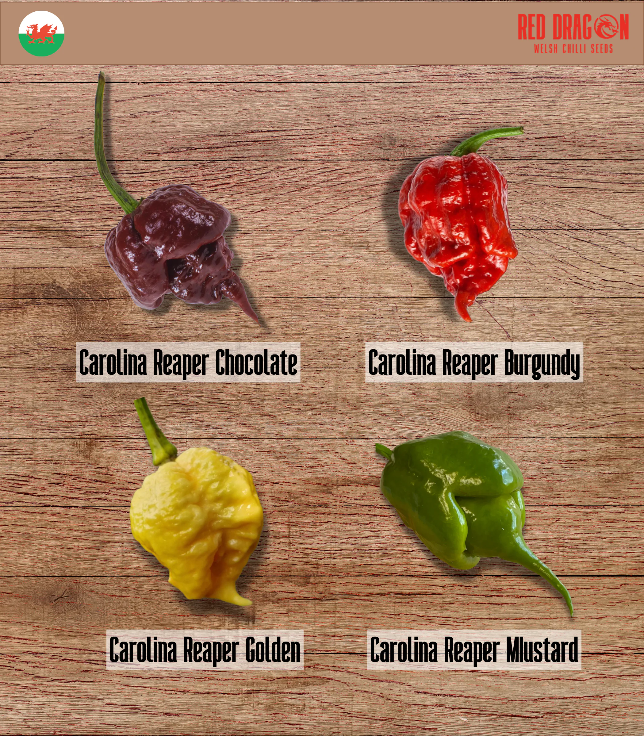 Carolina Reaper Variety Pack - Image 3