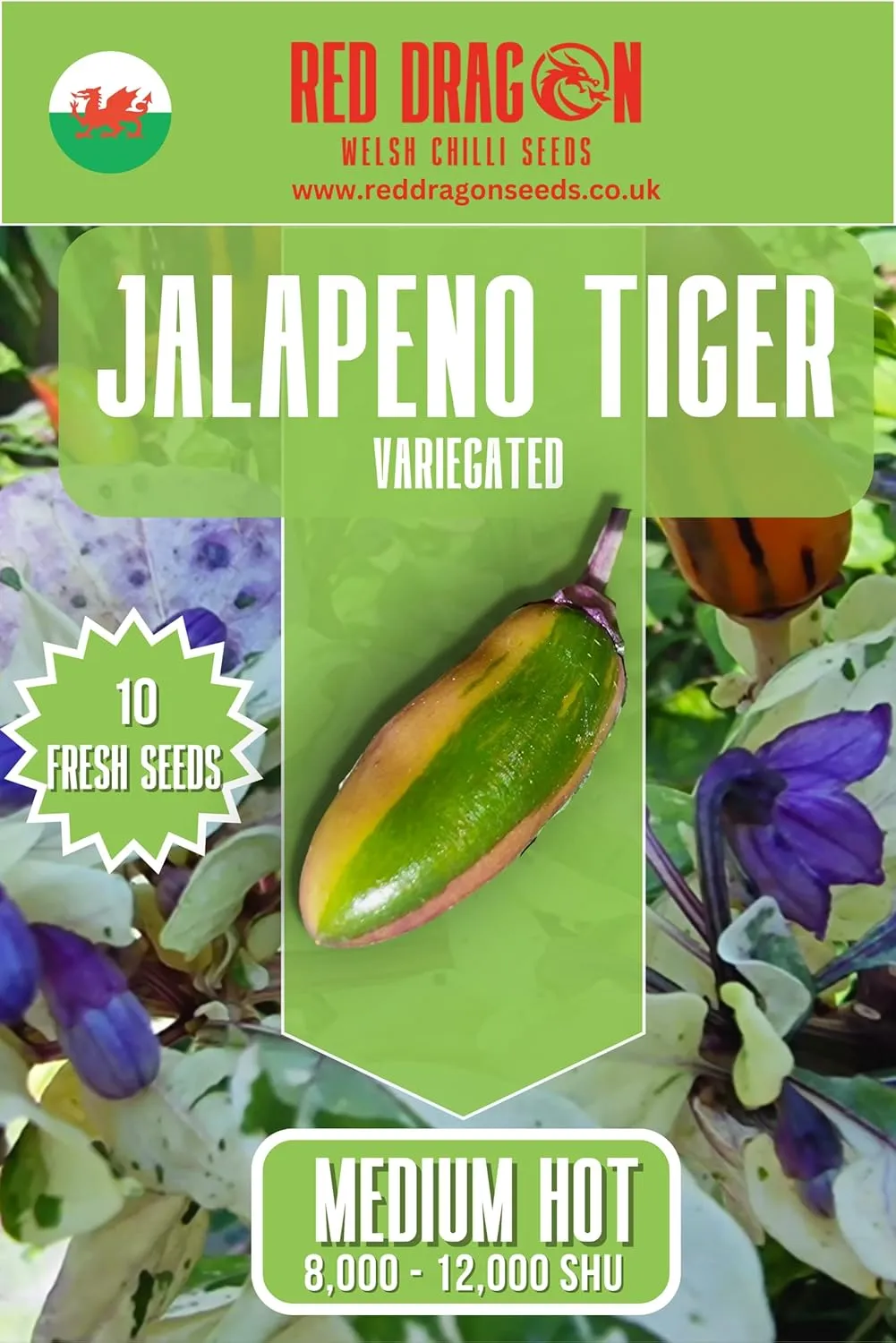 The Incredible Jalapeno Variety Pack - Six Different Varieties of The Jalapeño Pepper - Image 8