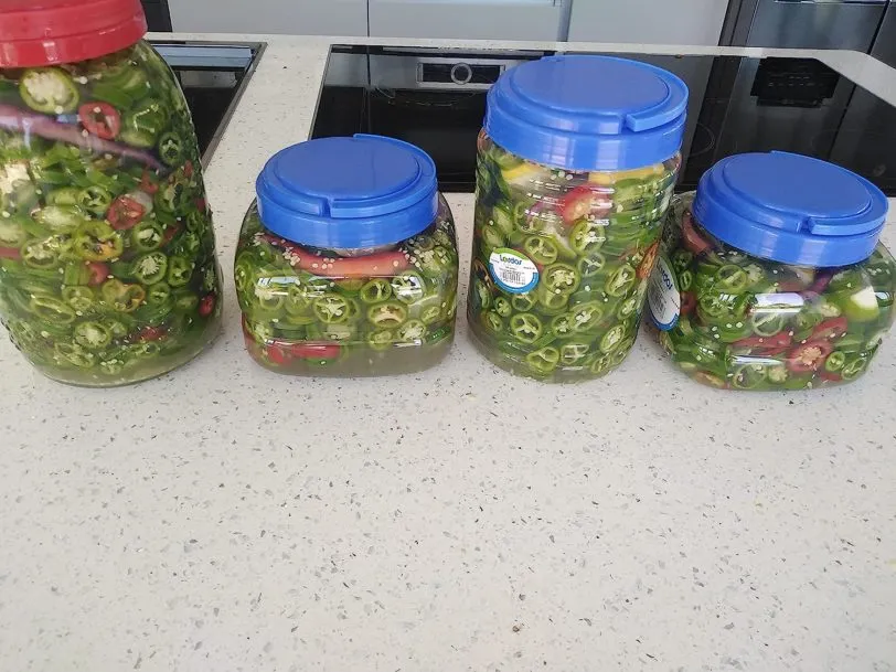 Jalapeno Chilli Seeds - Image 5