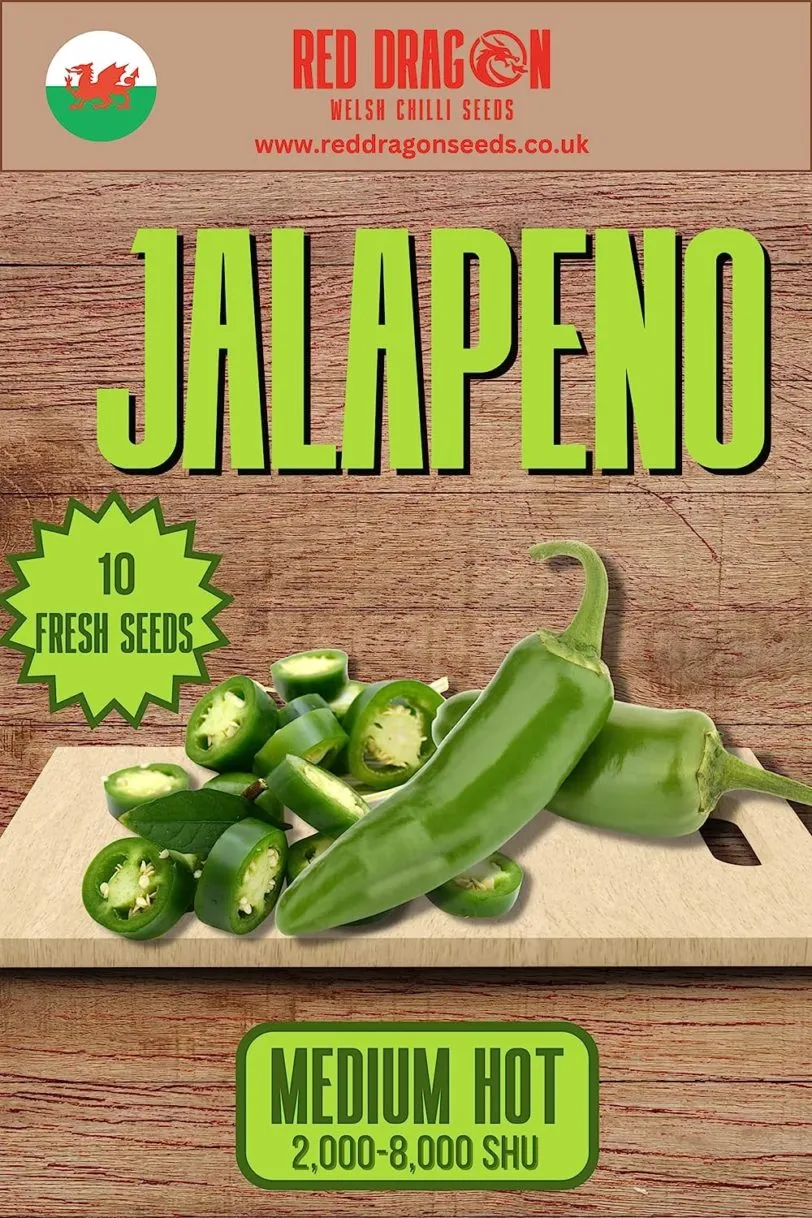 Jalapeno Chilli Seeds - Image 3