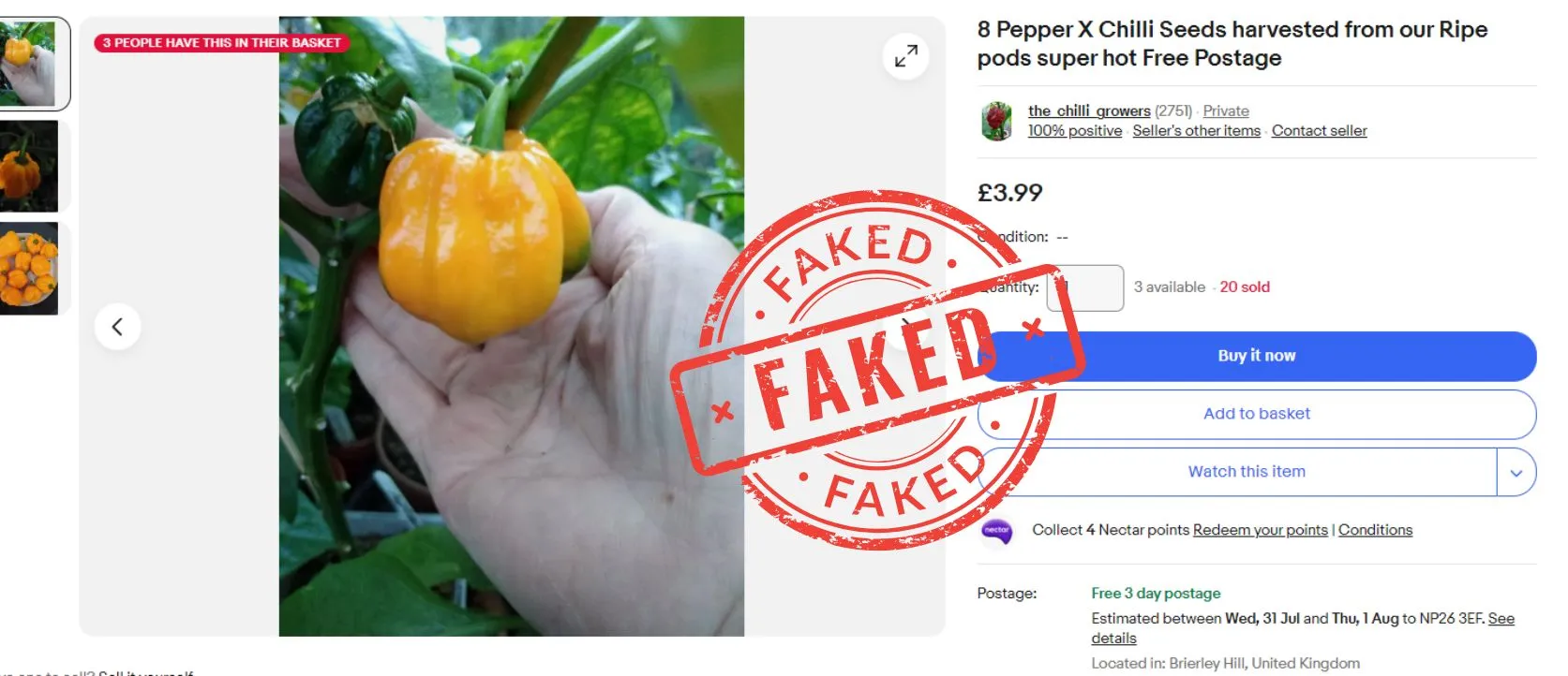 Pepper X Chilli Seeds - WARNING SEEDS ON EBAY ARE FAKE - Image 5