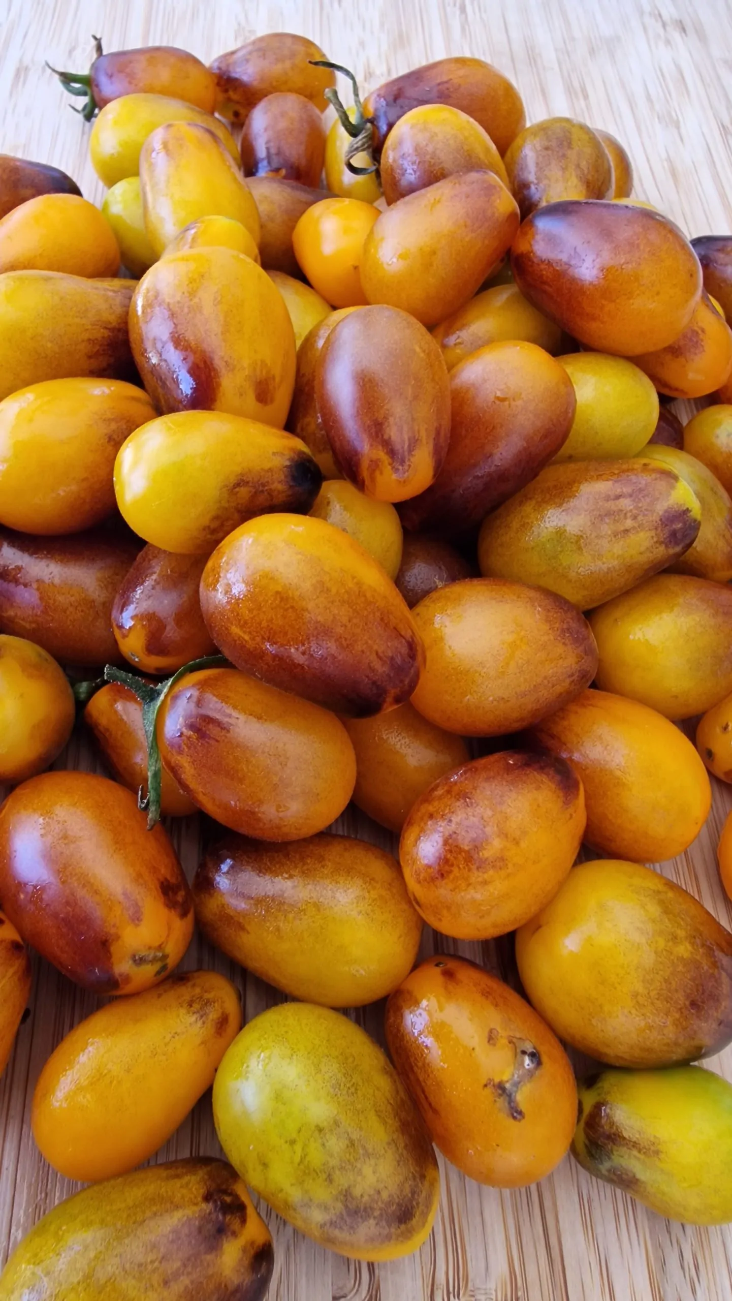 Indigo Pear Drops Tomato Seeds