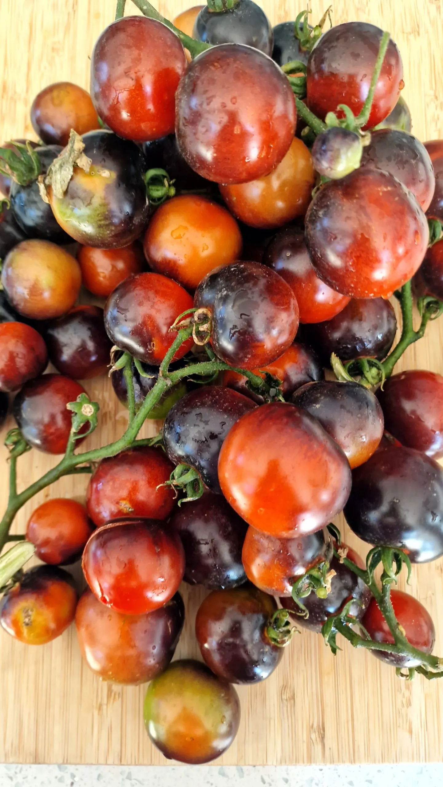 Fahrenheit Blues Tomato Seeds