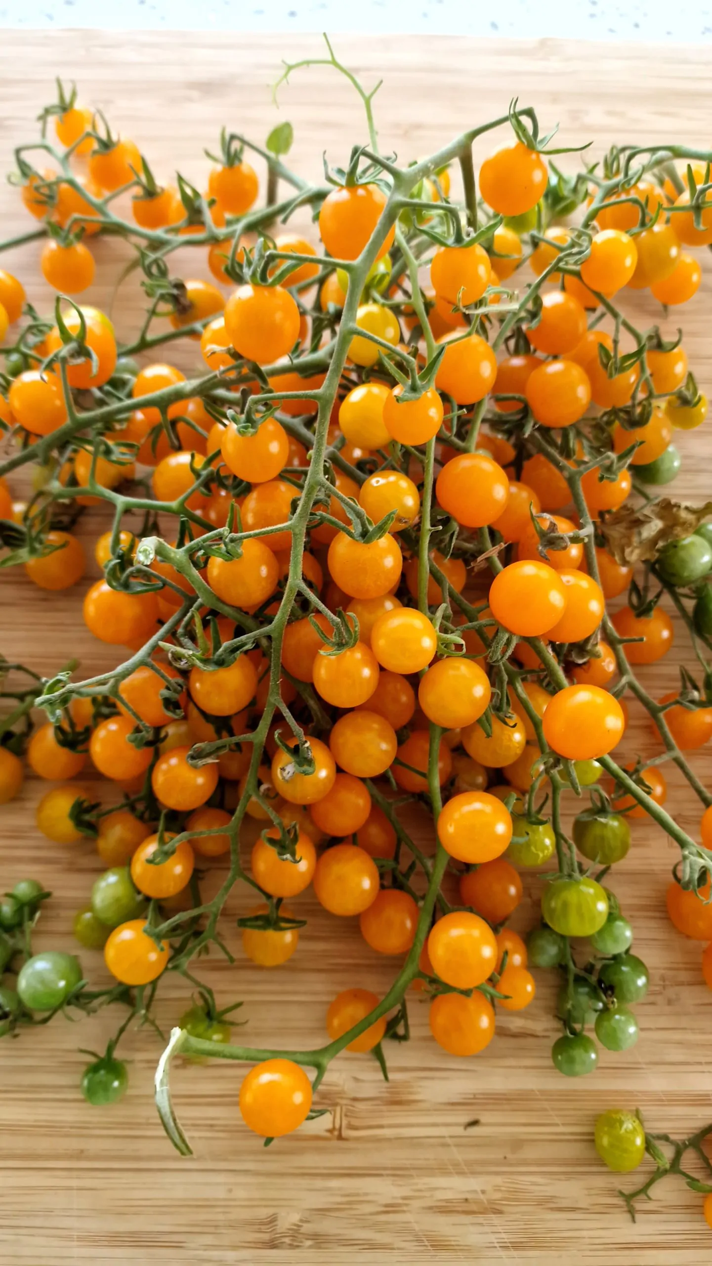 Currant Gold Rush Tomato Seeds - Image 2