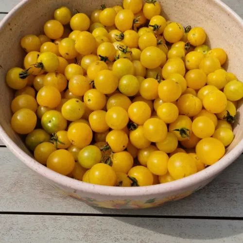 White Cherry Tomato Seeds