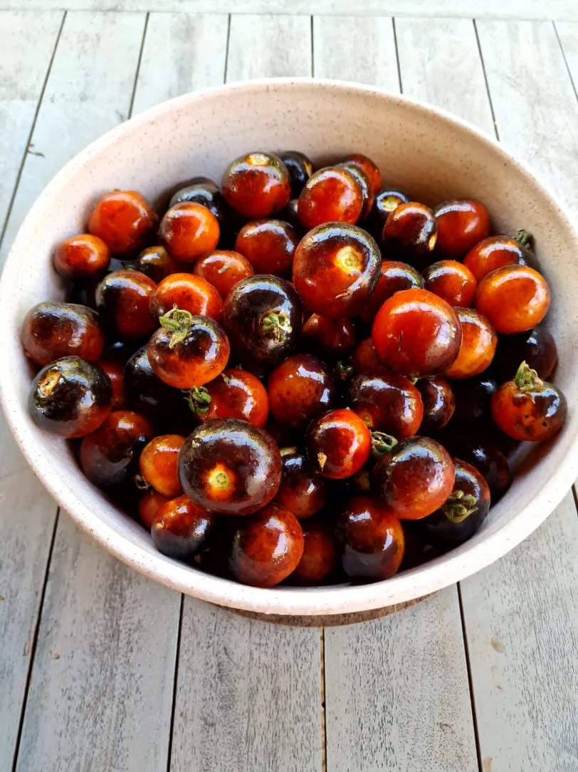 Indigo Rose Tomato Seeds - Image 2