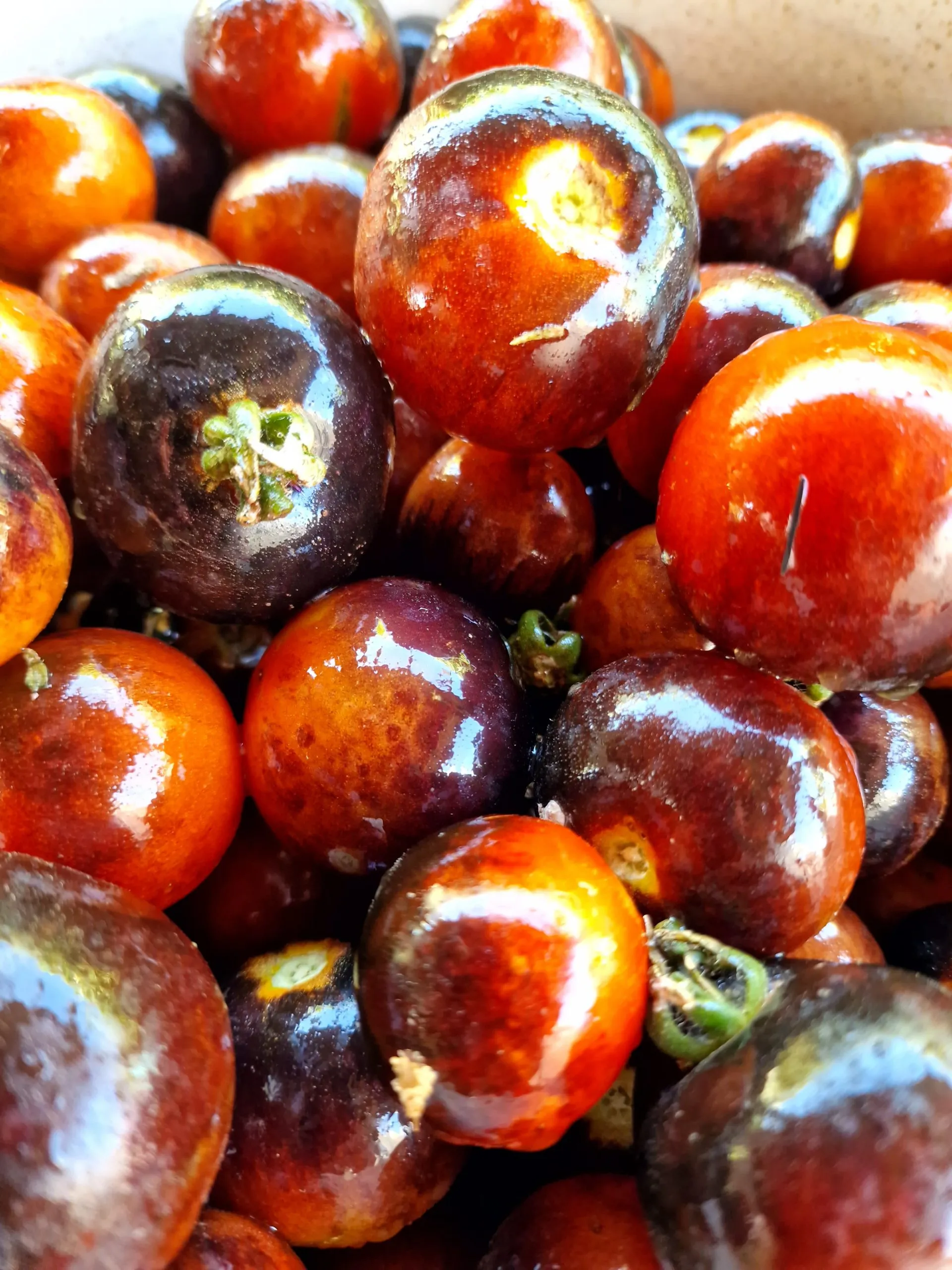 Indigo Rose Tomato Seeds - Image 7