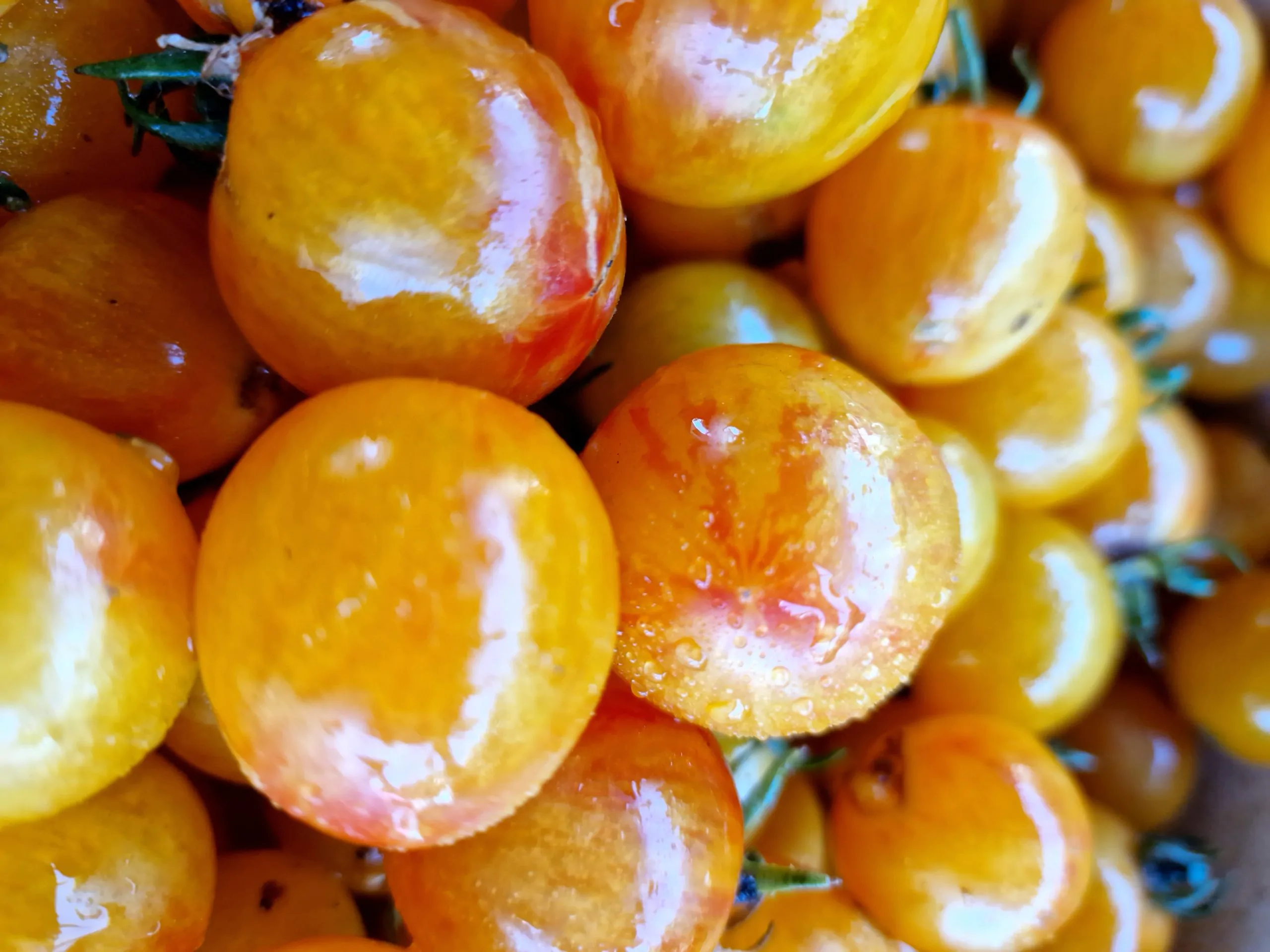 Artisan Golden Bumblebee Tomato Seeds - Image 3