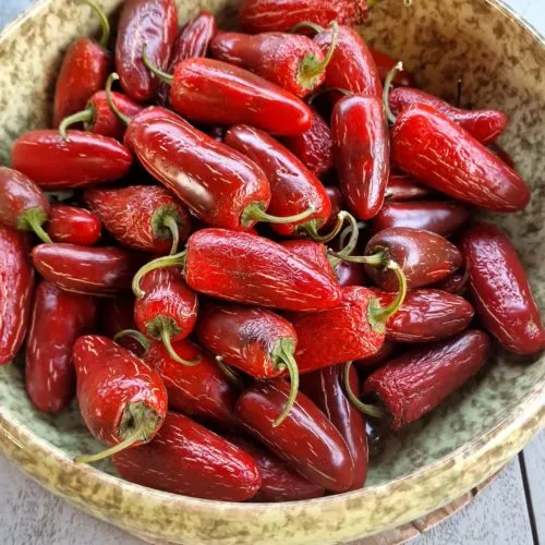 Biker Billy Jalapeno Chilli Seeds