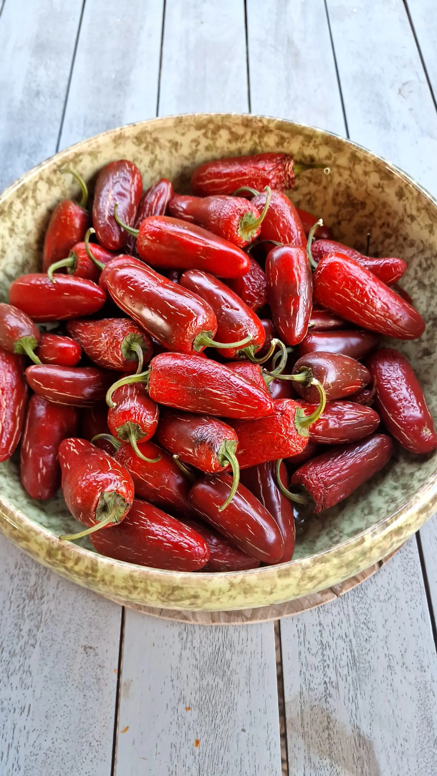 Biker Billy Jalapeno Chilli Seeds
