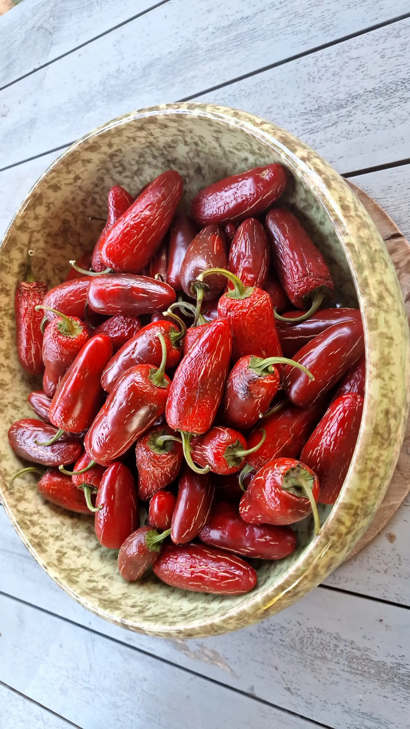 Biker Billy Jalapeno Chilli Seeds - Image 4