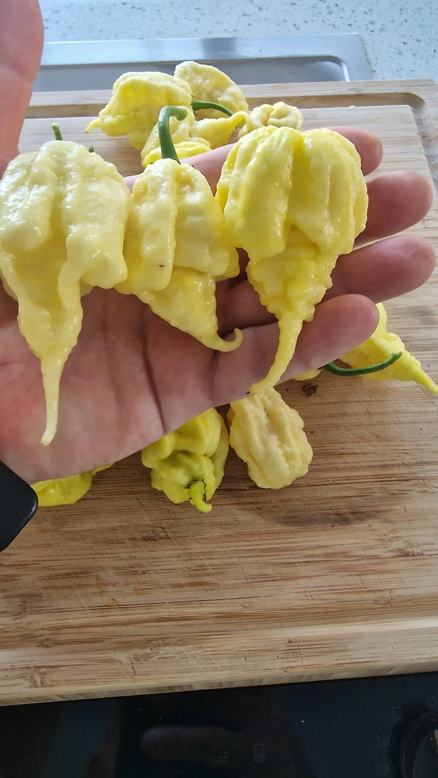 Carolina Reaper White Chilli Seeds - Image 4