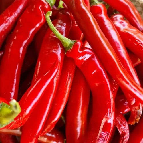 Serrano Chilli Seeds