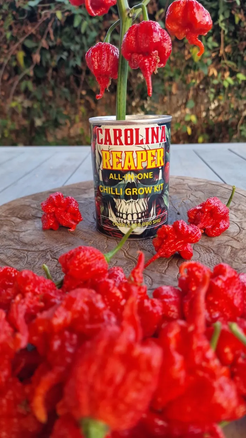 Grow a Reaper in a Tin - Image 6