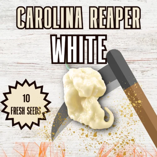 Carolina Reaper White Chilli Seeds
