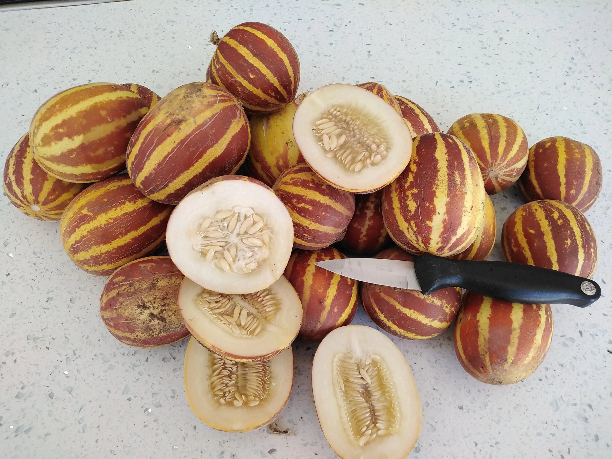 Rich Sweetness Melon Seeds