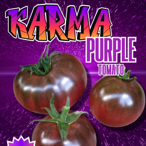 Karma Purple Multiflora Tomato Seeds