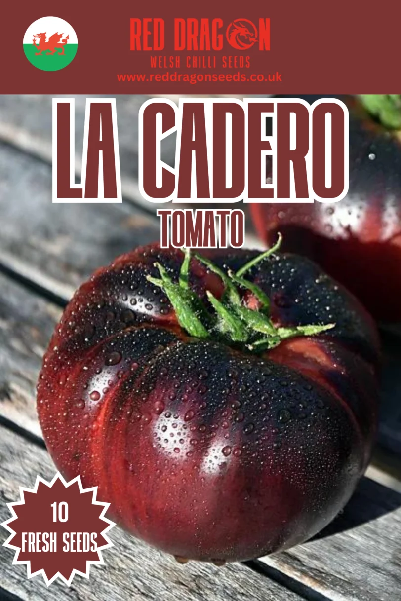 La Cadero Tomato Seeds