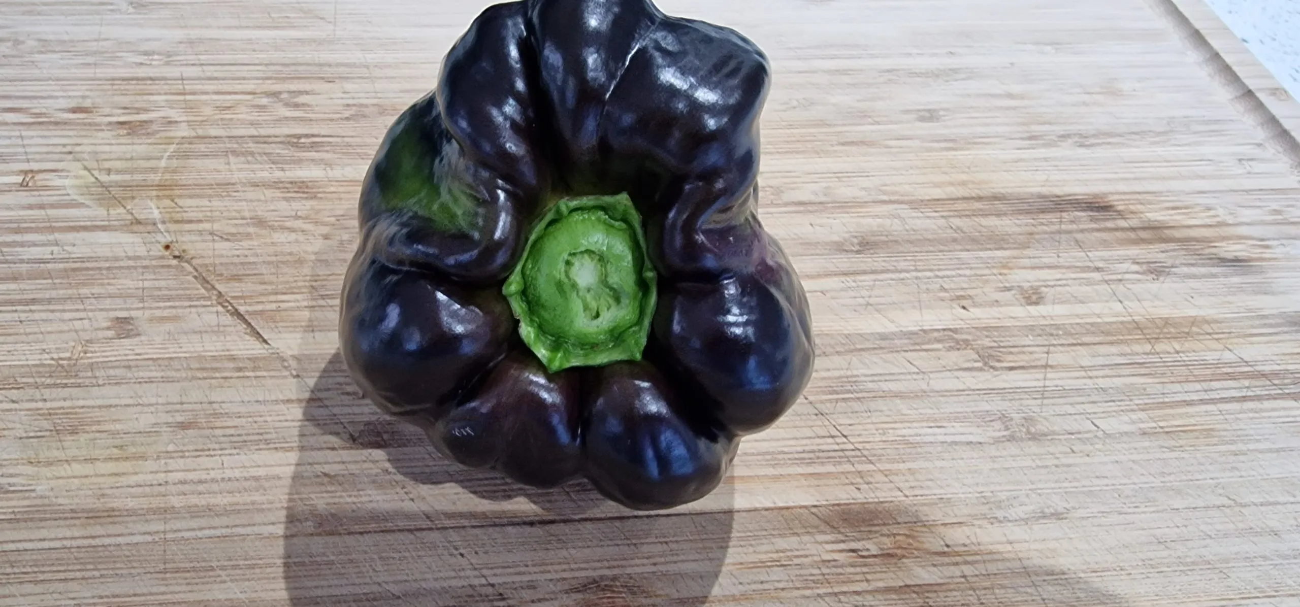Black Beauty Sweet Pepper Seeds - Image 2
