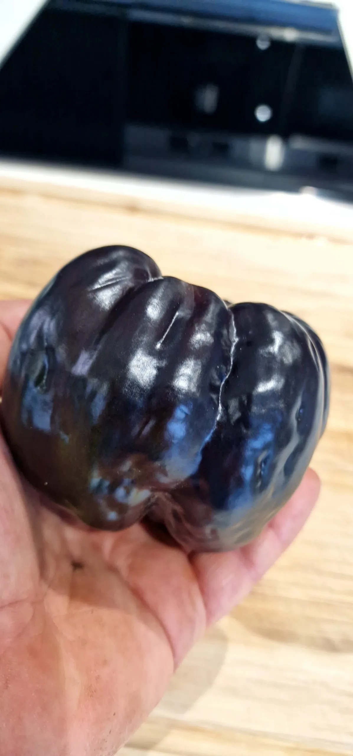 Black Beauty Sweet Pepper Seeds - Image 3