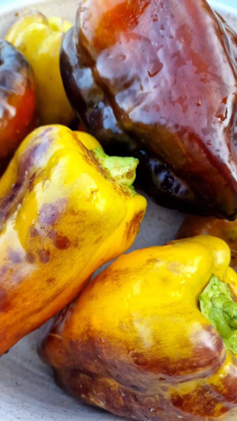 Blot Sweet Pepper Seeds - Image 2
