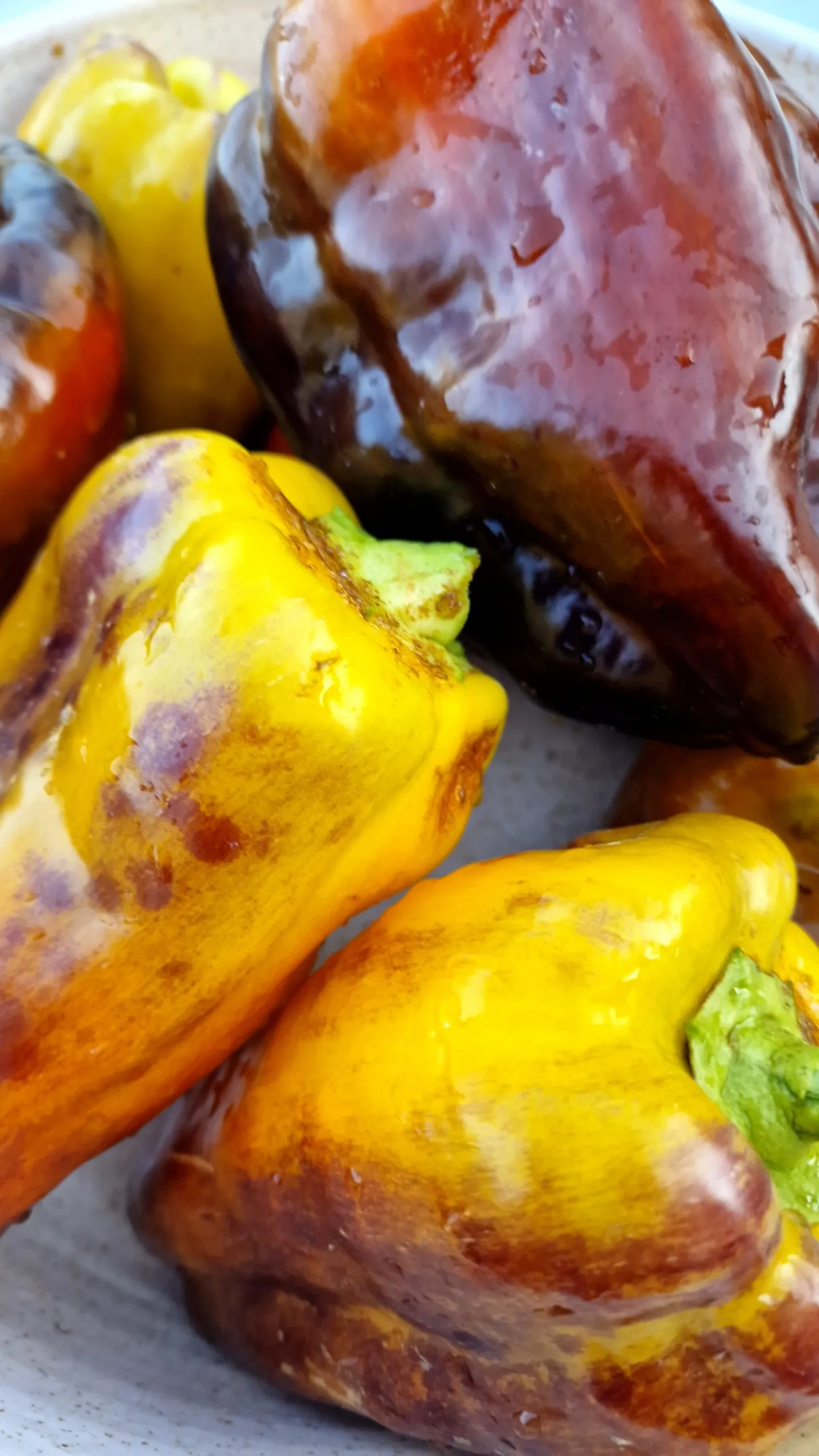 Blot Sweet Pepper Seeds - Image 2