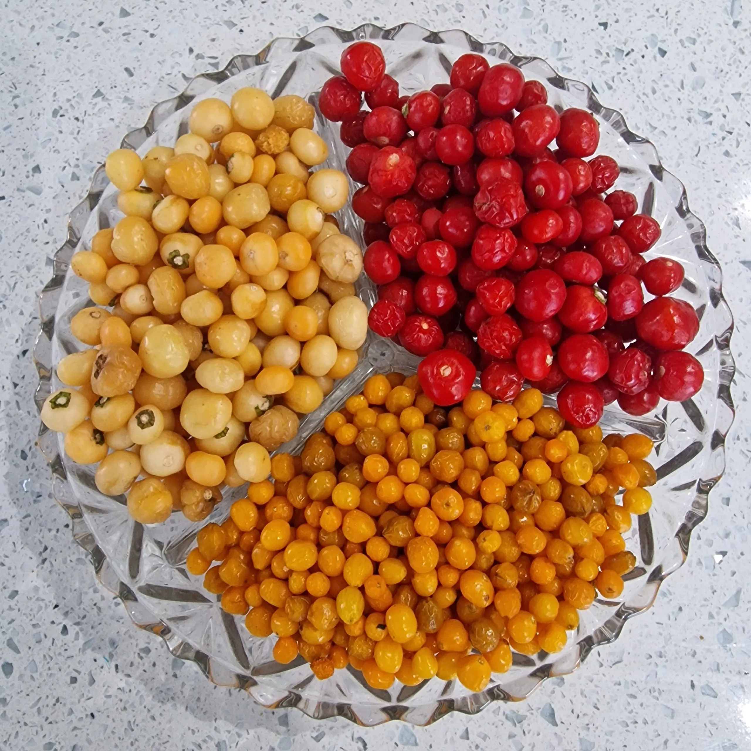 Aji Charapita Triple Pack Seeds - Image 6