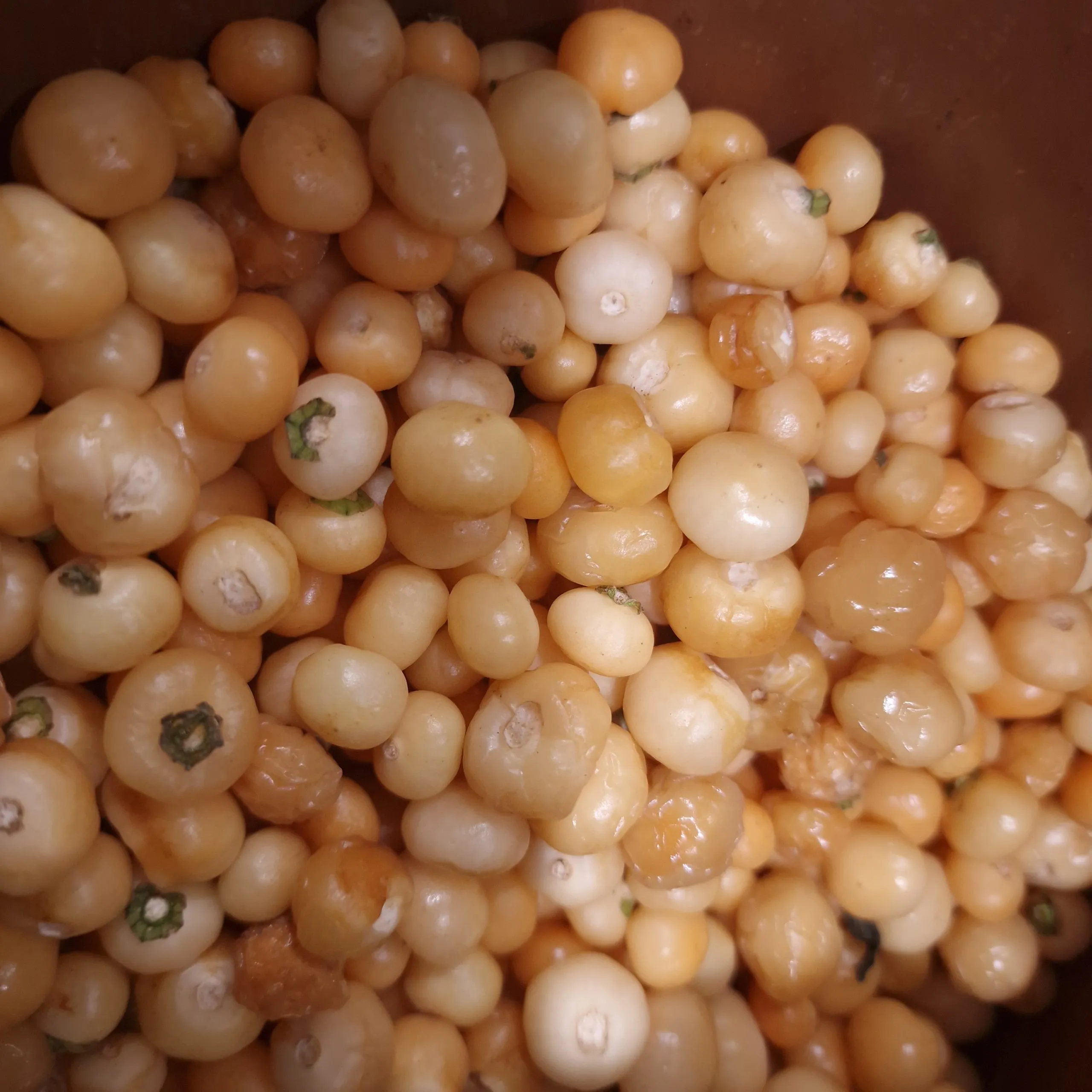 Aji Charapita Peach Chilli Seeds - Image 4