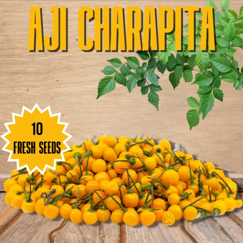 Aji Charapita Chilli Seeds