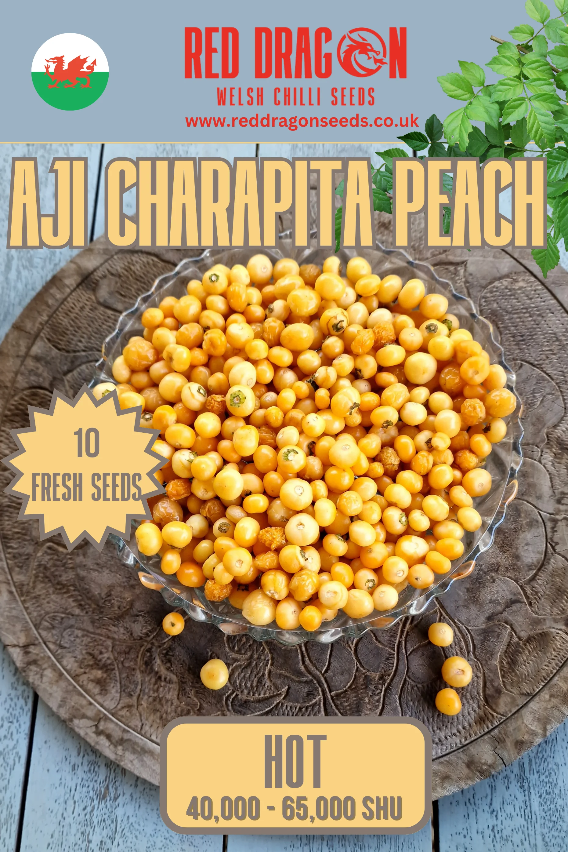 Aji Charapita Peach Chilli Seeds - Image 2