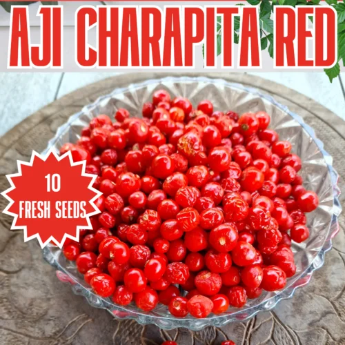 Aji Charapita Red