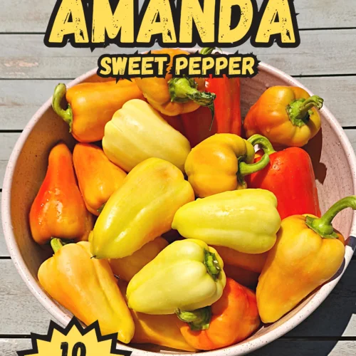 Amanda Sweet Pepper Seeds