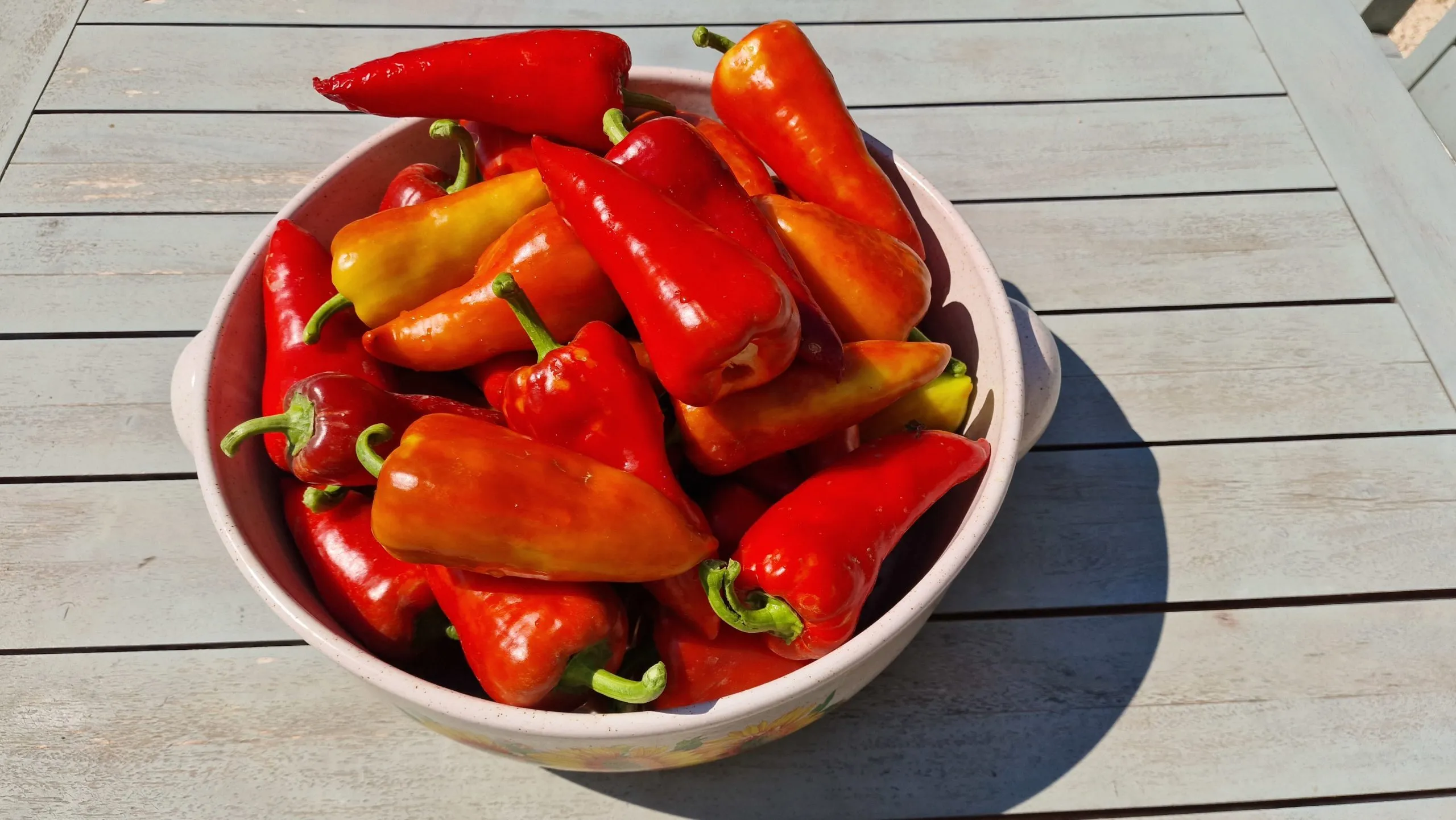 Sakura Sweet Pepper Seeds - Image 2