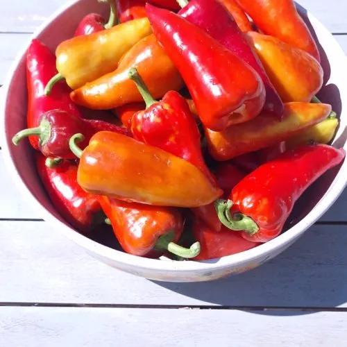 Sakura Sweet Pepper Seeds