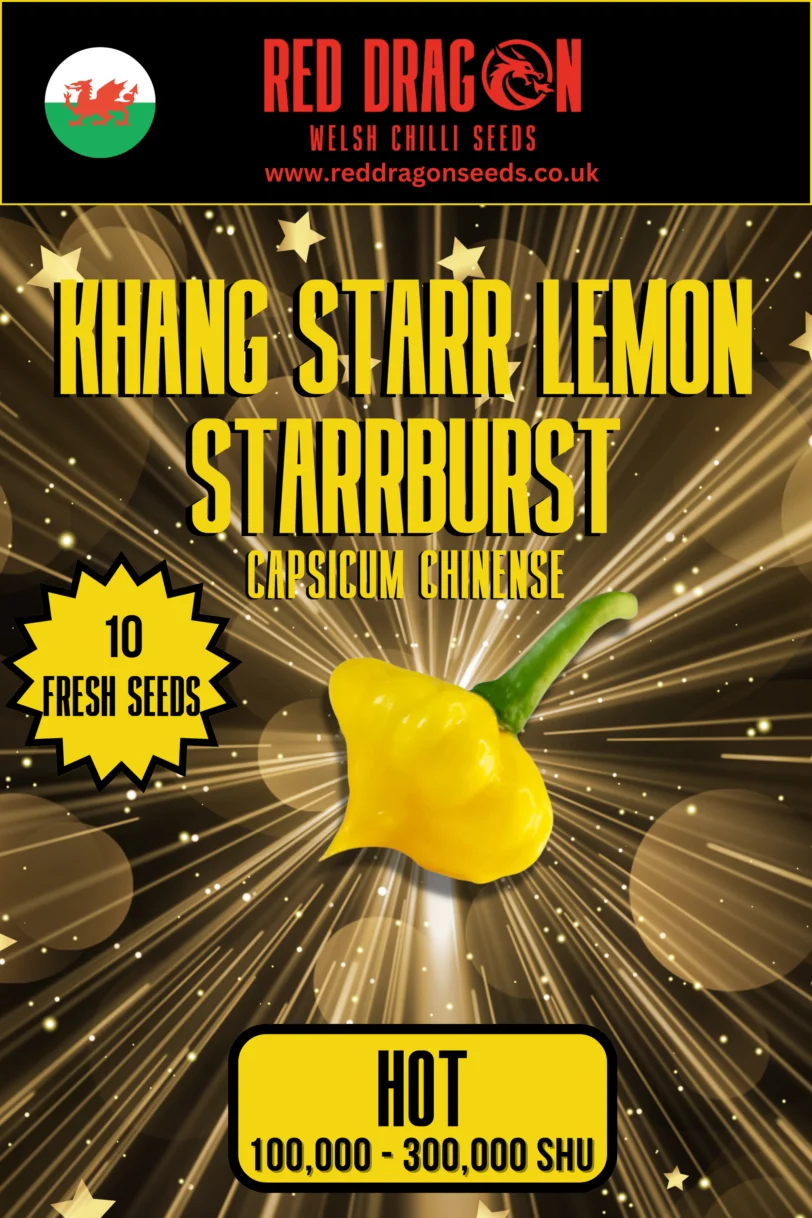 Khang Starr Triple Pack Seeds - Lemon Starrburst - Peach Starrkist - Scarlet Rose - White Thai - 40 Fresh Seeds - Image 2