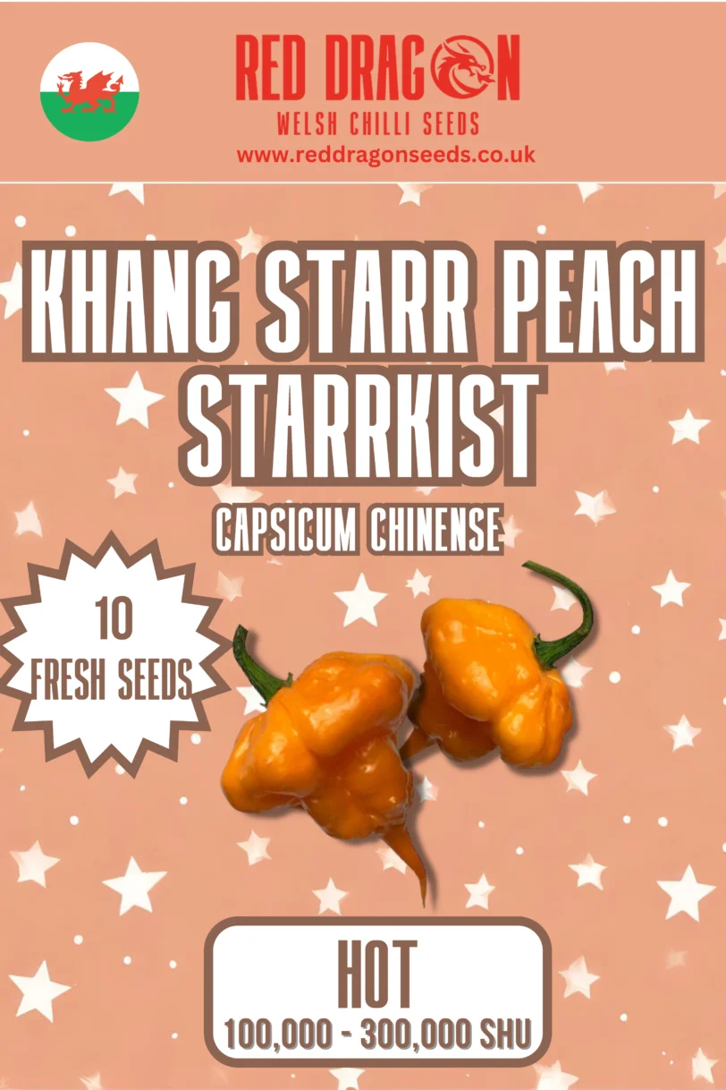 Khang Starr Triple Pack Seeds - Lemon Starrburst - Peach Starrkist - Scarlet Rose - White Thai - 40 Fresh Seeds - Image 3