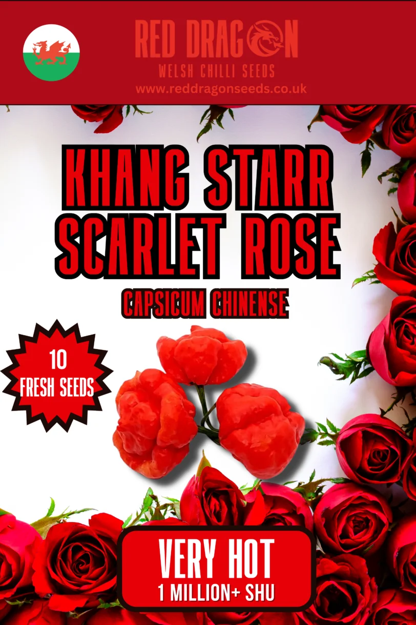 Khang Starr Triple Pack Seeds - Lemon Starrburst - Peach Starrkist - Scarlet Rose - White Thai - 40 Fresh Seeds - Image 5