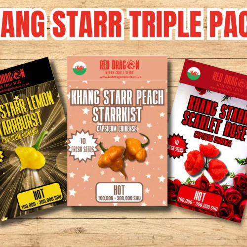 Khang Starr Triple Pack Seeds - Lemon Starrburst - Peach Starrkist - Scarlet Rose - White Thai - 40 Fresh Seeds
