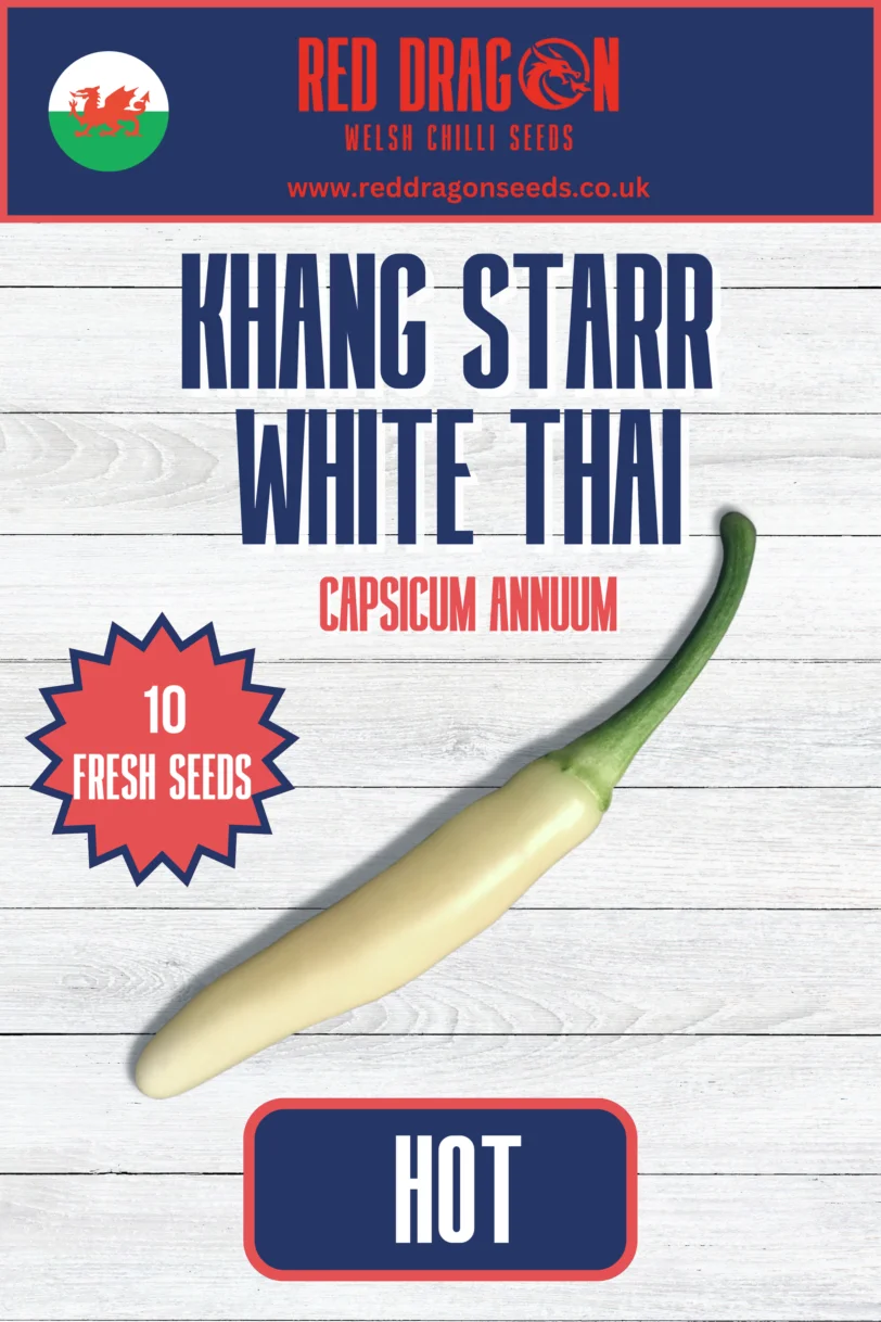 Khang Starr Triple Pack Seeds - Lemon Starrburst - Peach Starrkist - Scarlet Rose - White Thai - 40 Fresh Seeds - Image 4