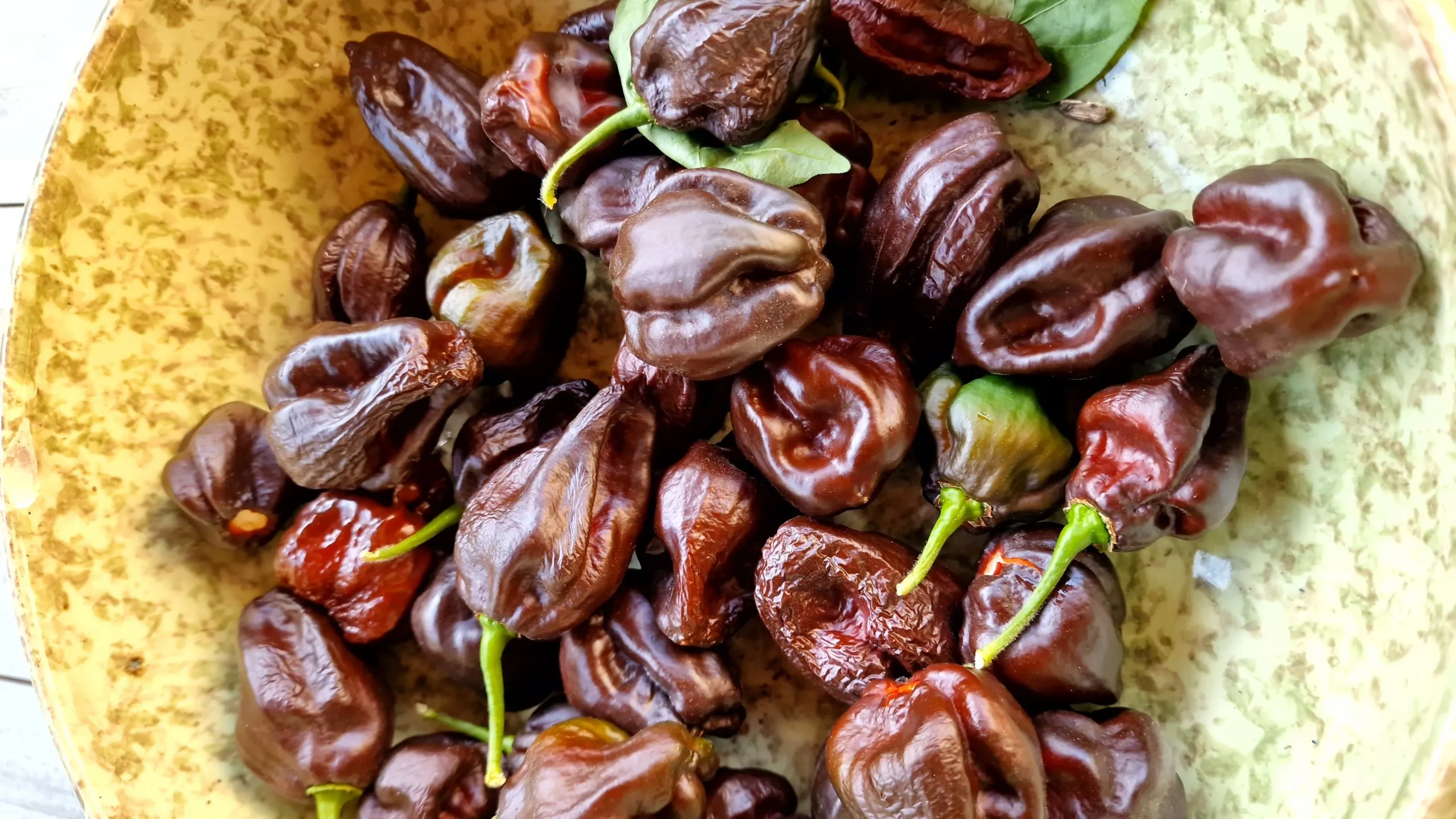 Swiss Chocolate Habanero Chilli Seeds - Image 2